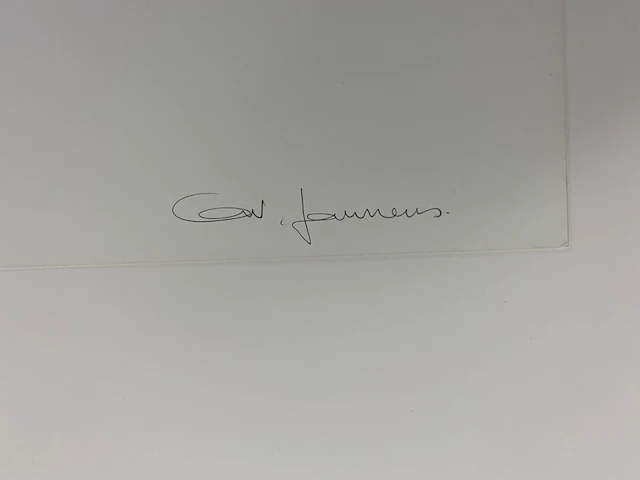 Ann veronica janssens - gesigneerd vierluik - afbeelding 2 van  2