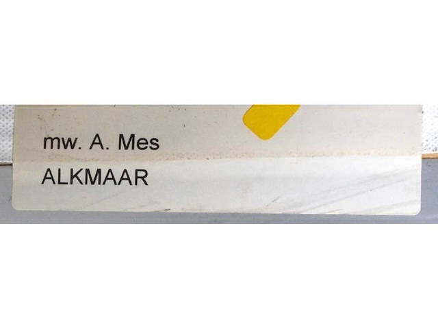 Anna mes - gemengde techniek op doek - 150x110 cm - afbeelding 7 van  15