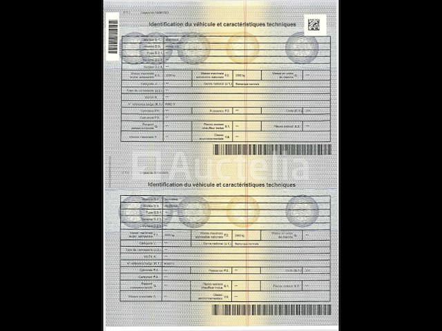 Anssems dubbelassige oplegger (2010-vin:xlj1a040610098553) - afbeelding 5 van  9