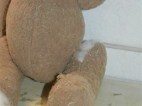 Antieke beer - beschadigd - afbeelding 4 van  4