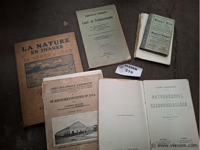 Antieke boekjes - afbeelding 1 van  2