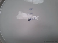 Antieke borden - afbeelding 5 van  5
