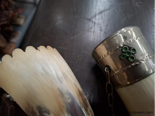 Antieke hoorn - afbeelding 2 van  3