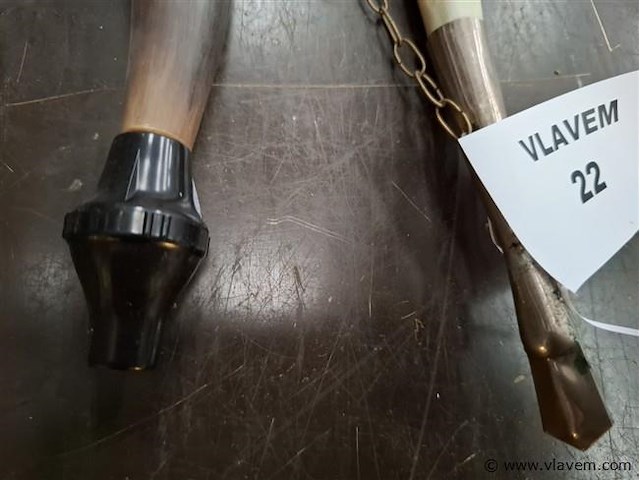 Antieke hoorn - afbeelding 3 van  3