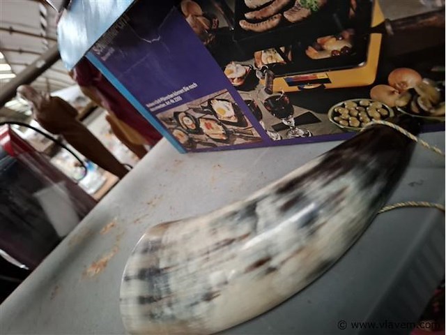 Antieke hoorn - afbeelding 3 van  3