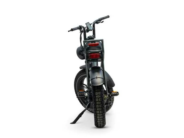 Ape ryder a10 fatbike elektrische fiets - afbeelding 4 van  8