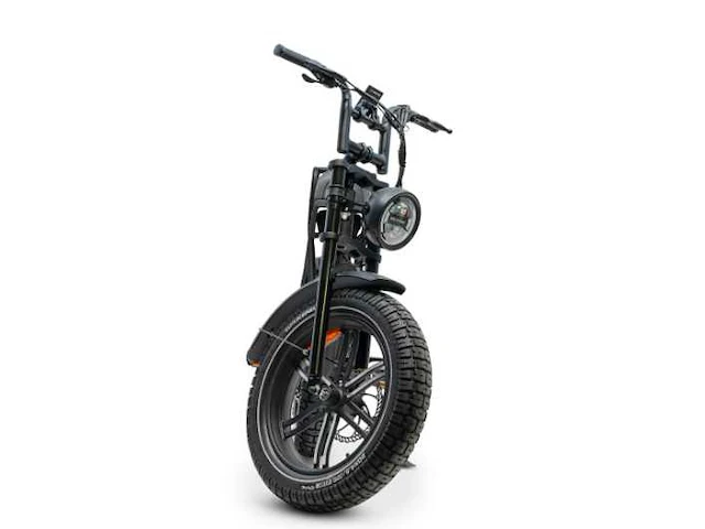 Ape ryder a10 fatbike elektrische fiets - afbeelding 8 van  8