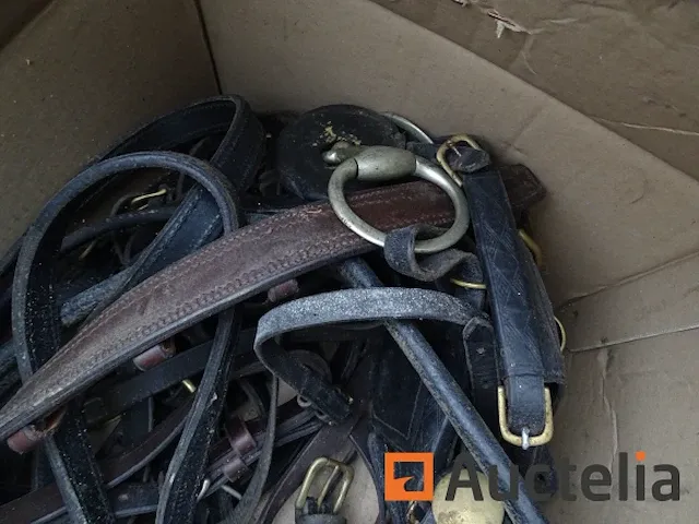 Apparatuur voor 2 paarden en apparatuur voor ruiters - afbeelding 7 van  65