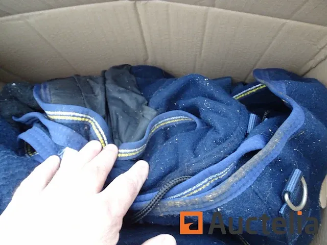 Apparatuur voor 2 paarden en apparatuur voor ruiters - afbeelding 8 van  65