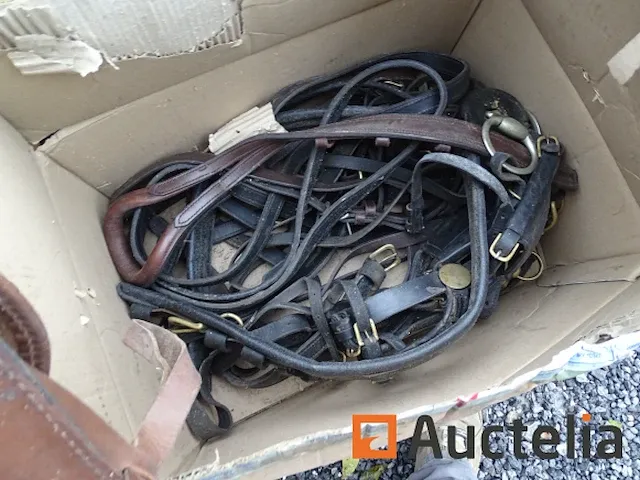 Apparatuur voor 2 paarden en apparatuur voor ruiters - afbeelding 16 van  65