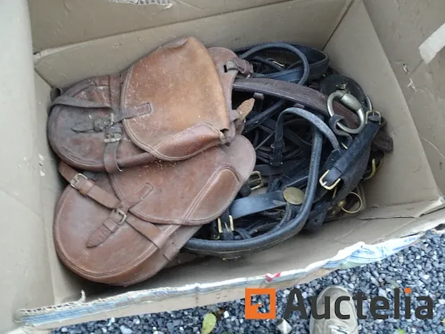 Apparatuur voor 2 paarden en apparatuur voor ruiters - afbeelding 17 van  65