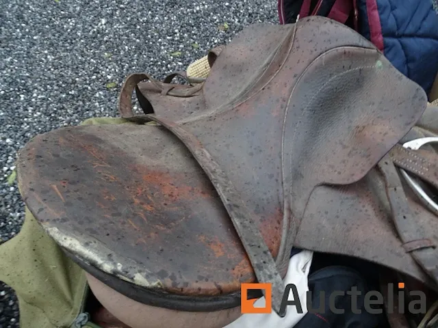 Apparatuur voor 2 paarden en apparatuur voor ruiters - afbeelding 12 van  65