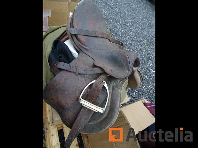 Apparatuur voor 2 paarden en apparatuur voor ruiters - afbeelding 24 van  65
