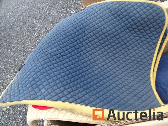 Apparatuur voor 2 paarden en apparatuur voor ruiters - afbeelding 29 van  65