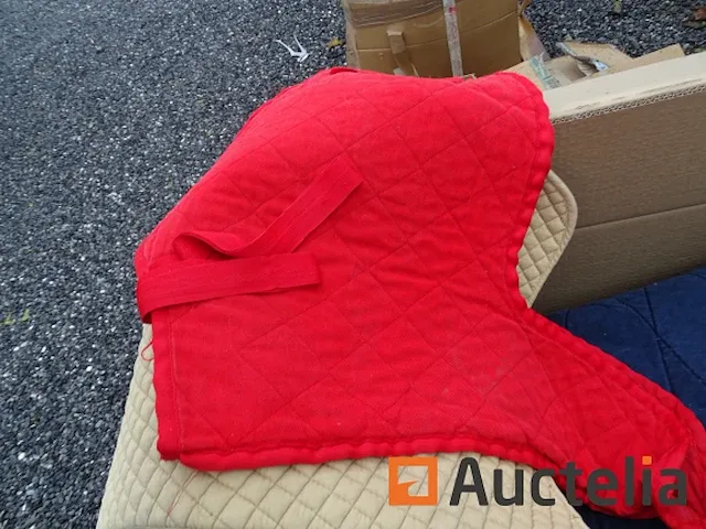 Apparatuur voor 2 paarden en apparatuur voor ruiters - afbeelding 31 van  65