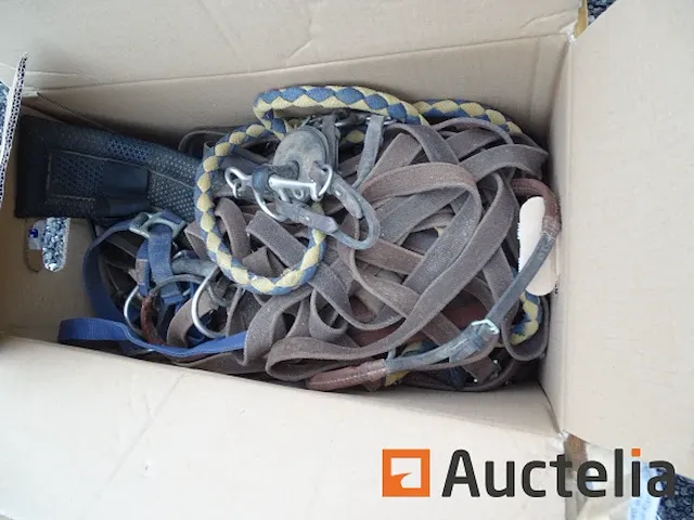 Apparatuur voor 2 paarden en apparatuur voor ruiters - afbeelding 32 van  65