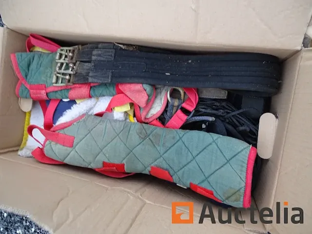 Apparatuur voor 2 paarden en apparatuur voor ruiters - afbeelding 33 van  65