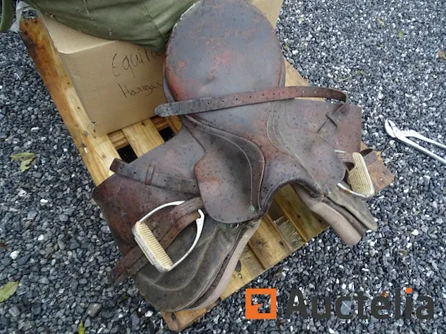 Apparatuur voor 2 paarden en apparatuur voor ruiters - afbeelding 34 van  65