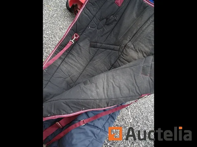 Apparatuur voor 2 paarden en apparatuur voor ruiters - afbeelding 49 van  65