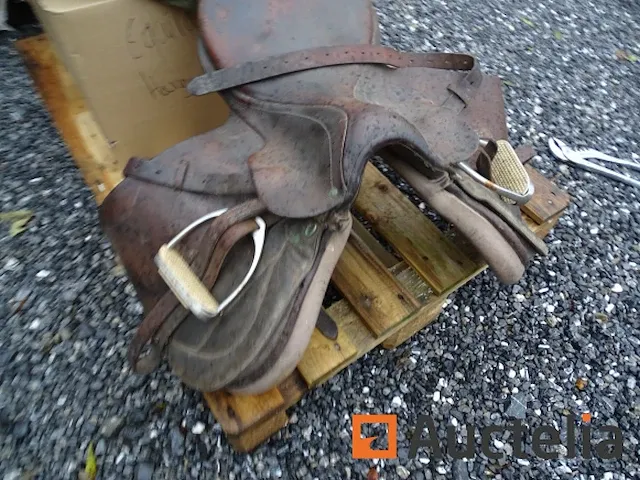 Apparatuur voor 2 paarden en apparatuur voor ruiters - afbeelding 50 van  65