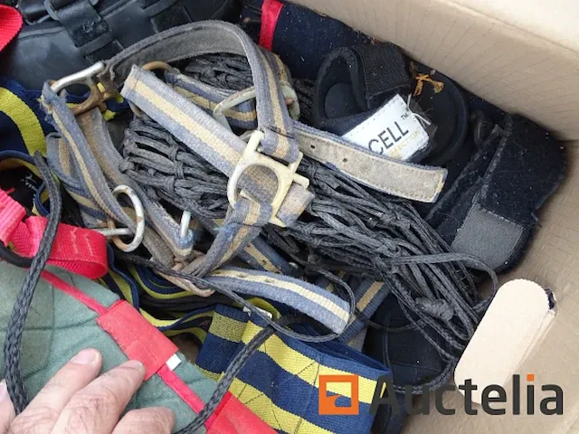 Apparatuur voor 2 paarden en apparatuur voor ruiters - afbeelding 53 van  65
