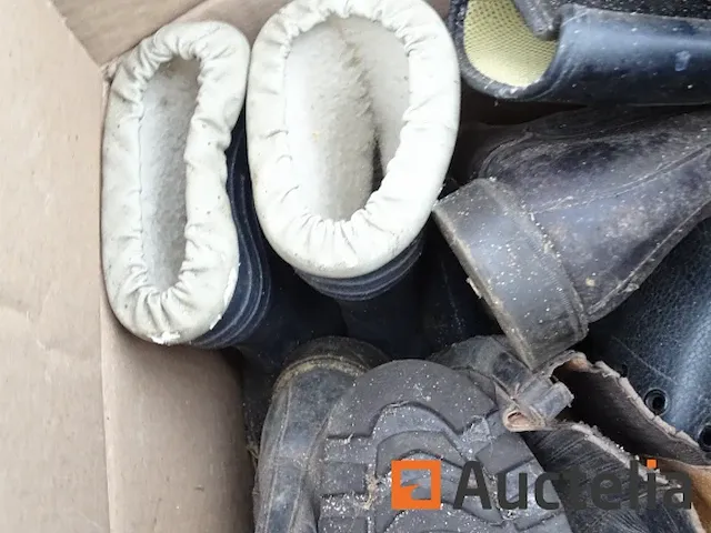 Apparatuur voor 2 paarden en apparatuur voor ruiters - afbeelding 57 van  65