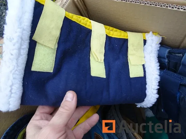 Apparatuur voor 2 paarden en apparatuur voor ruiters - afbeelding 60 van  65