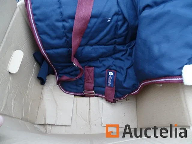 Apparatuur voor 2 paarden en apparatuur voor ruiters - afbeelding 63 van  65