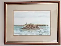 Aquarel david fletcher