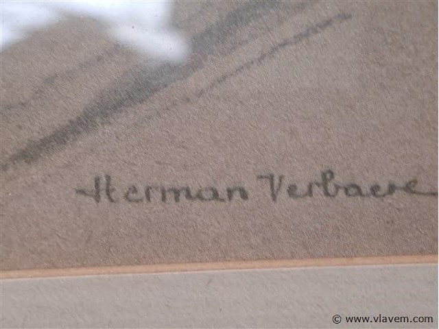 Aquarel - afbeelding 4 van  4