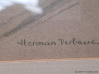 Aquarel - afbeelding 4 van  4