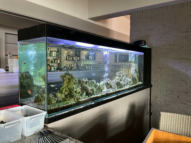 Aquarium compleet - afbeelding 1 van  6