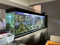 Aquarium compleet - afbeelding 1 van  6