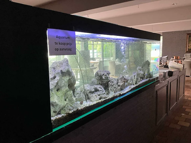 Aquarium compleet - afbeelding 2 van  6