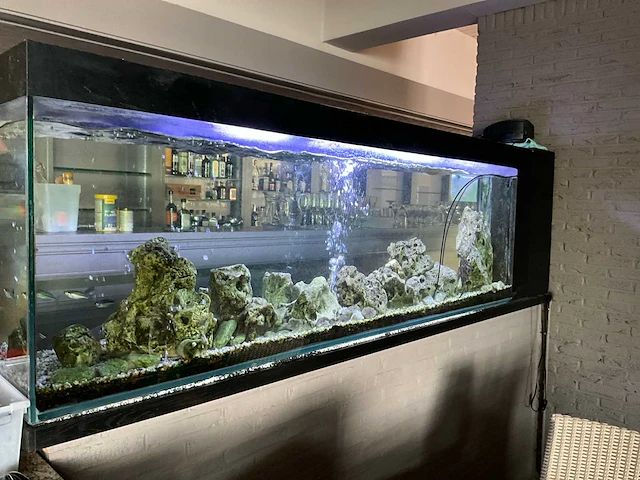 Aquarium compleet - afbeelding 3 van  6