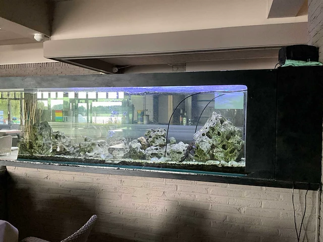 Aquarium compleet - afbeelding 4 van  6
