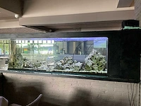 Aquarium compleet - afbeelding 4 van  6