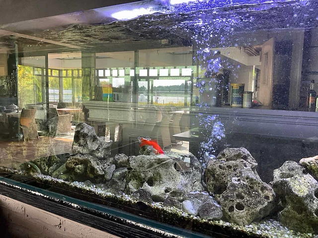 Aquarium compleet - afbeelding 6 van  6