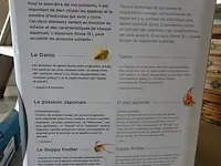 Aquarium inwa stone - afbeelding 2 van  2