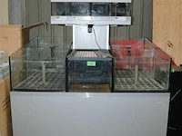Aquarium met verschillende afdelingen en pomp