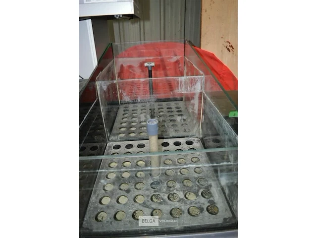 Aquarium met verschillende afdelingen en pomp - afbeelding 5 van  5