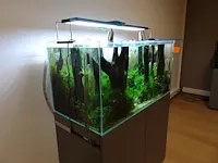Aquarium oase - afbeelding 4 van  8