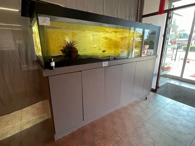 Aquarium - afbeelding 1 van  4