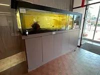 Aquarium - afbeelding 1 van  4