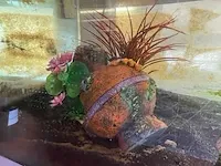 Aquarium - afbeelding 2 van  4