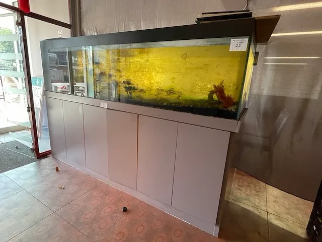 Aquarium - afbeelding 1 van  4