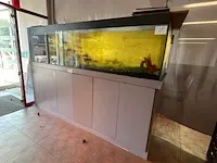Aquarium - afbeelding 1 van  4