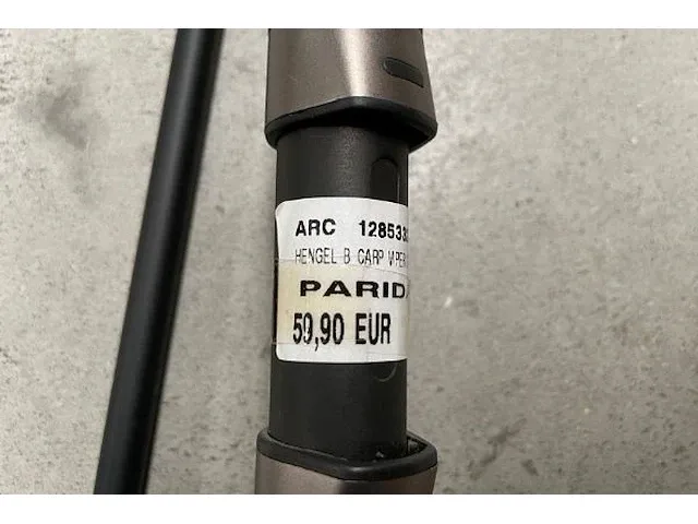 Arc hengel b carp - afbeelding 5 van  6