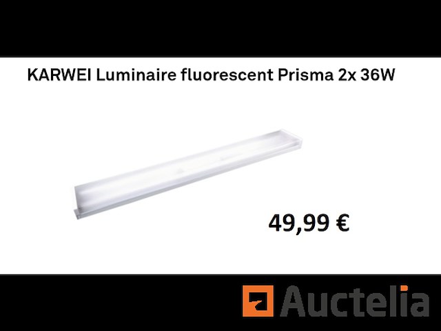 Armatuur tl prisma 2 x 36w karwei - afbeelding 1 van  3