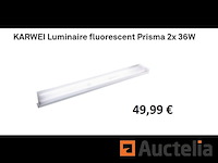 Armatuur tl prisma 2 x 36w karwei